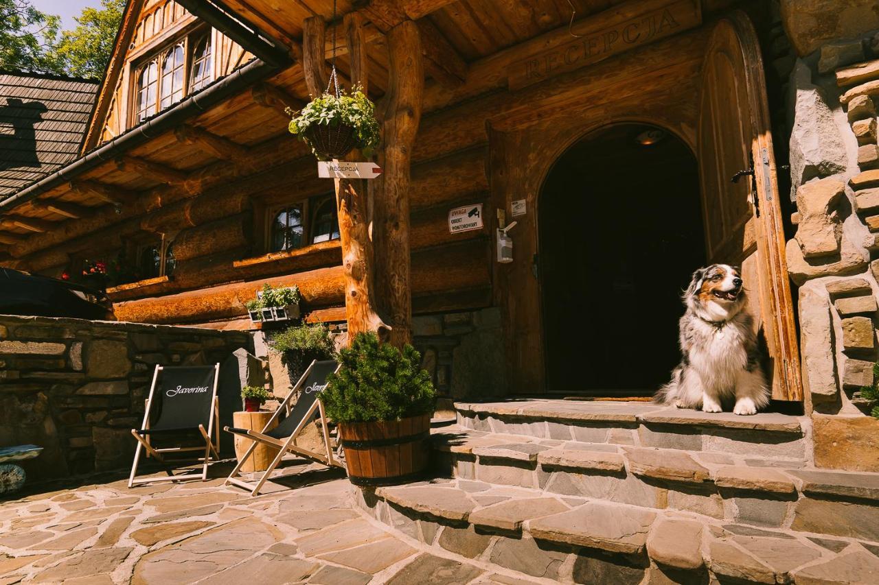 Pokoje Javorina Zakopane Eksteriør bilde